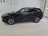 Certified 2024 Ford Escape Platinum image 3