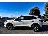 New 2025 Ford Escape ST-Line w/ Tech Pack #1 image 5