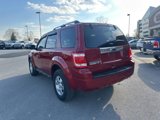 Used 2011 Ford Escape Limited w/ 301A Rapid Spec Order Code image 4