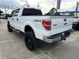 Used 2013 Ford F150 XLT w/ Luxury Equipment Group image 6