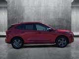 Used 2024 Ford Escape ST-Line image 4