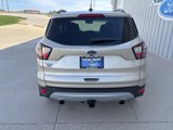 Used 2017 Ford Escape SE w/ Equipment Group 201A image 5