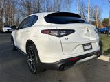 Used 2024 Alfa Romeo Stelvio Ti image 6