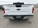 Used 2016 Ford F150 XLT w/ Equipment Group 301A Mid image 6