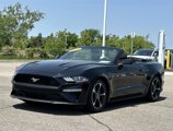 Certified 2019 Ford Mustang Convertible w/ Equipment Group 101A image 5
