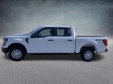 New 2025 Ford F150 XL image 4