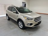 Used 2017 Ford Escape SE w/ SE Leather Comfort Package image 2