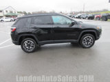 Used 2024 Jeep Compass Trailhawk w/ Trailhawk Convenience Group image 6
