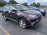 Used 2017 Toyota RAV4 Limited image 5