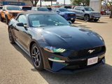Used 2022 Ford Mustang Premium image 6