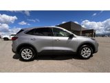 Used 2024 Ford Escape Active image 4
