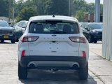 Used 2020 Ford Escape SE image 6