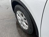 New 2025 Ford Escape Active w/ Cold Weather Package image 5