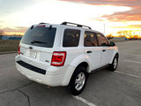 Used 2011 Ford Escape XLT image 5