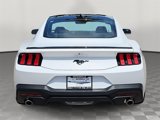 New 2025 Ford Mustang Coupe image 4