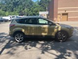 Used 2014 Ford Escape Titanium w/ Equipment Group 401A image 2