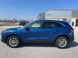 Used 2022 Ford Escape SE w/ Cold Weather Package image 2