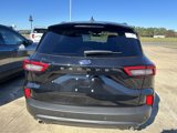 New 2025 Ford Escape ST-Line w/ Tech Pack #1 image 5