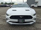 Used 2021 Ford Mustang Coupe w/ Equipment Group 101A image 2