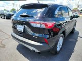 Used 2022 Ford Escape SE image 4