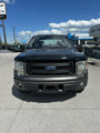 Used 2013 Ford F150 STX w/ Mid Equipment Group image 3
