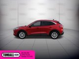 Used 2020 Ford Escape SE image 4