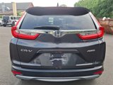Used 2019 Honda CR-V EX image 5