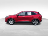 Used 2020 Ford Escape SE image 4
