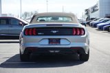 Used 2022 Ford Mustang Premium image 6