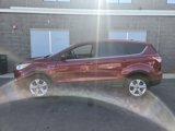 Used 2013 Ford Escape SE image 2