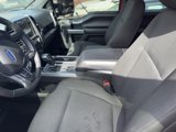 Used 2019 Ford F150 XLT w/ Equipment Group 302A Luxury image 5