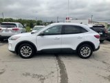 Used 2022 Ford Escape SE w/ Convenience Package image 4