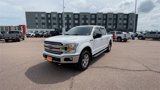 Used 2020 Ford F150 XLT w/ Equipment Group 302A Luxury image 4