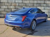 Certified 2022 Cadillac CT5 Premium Luxury image 5