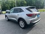 Used 2024 Ford Escape Active image 3