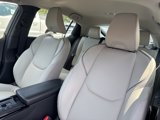 Used 2025 Toyota Prius XLE image 4