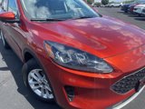 Used 2020 Ford Escape SE image 3