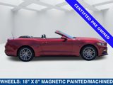 Certified 2017 Ford Mustang Premium image 3