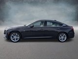 New 2025 Cadillac CT5 Premium Luxury image 2