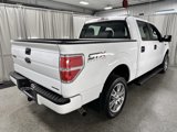 Used 2014 Ford F150 STX w/ Equipment Group 201A Mid image 4