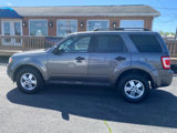 Used 2011 Ford Escape XLT image 2