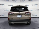 Used 2021 Ford Escape SE w/ Convenience Package image 4