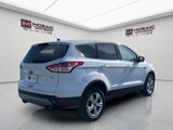 Used 2013 Ford Escape SE image 3