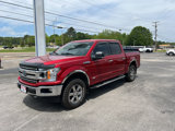Used 2020 Ford F150 XLT w/ Equipment Group 302A Luxury image 2