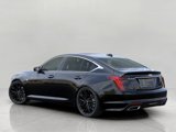 New 2026 Cadillac CT5 Premium Luxury w/ Technology Package image 3