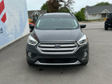 Used 2019 Ford Escape SEL image 4