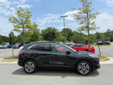 Used 2020 Ford Escape SEL image 6
