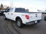 Used 2014 Ford F150 XLT w/ XLT Chrome Package image 5