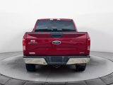 Used 2015 Ford F150 XLT w/ Equipment Group 301A Mid image 6