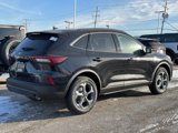 New 2025 Ford Escape ST-Line w/ Cold Weather Package image 3